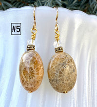 FOSSILIZED CORAL EARRINGS, Choice, Dangle, 14K Gold Filled Wires, Clear Quartz, Agatized Coral, Genuine Natural Stone Gemstone