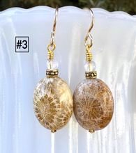 FOSSILIZED CORAL EARRINGS, Choice, Dangle, 14K Gold Filled Wires, Clear Quartz, Agatized Coral, Genuine Natural Stone Gemstone
